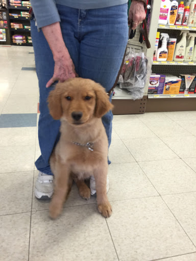 Pet Supply Store «Stoltzfus Feed & Supply», reviews and photos, 80 PA-41, Gap, PA 17527, USA