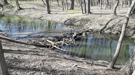Park «Coon Rapids Dam Regional Park», reviews and photos, 10360 W River Rd, Brooklyn Park, MN 55444, USA