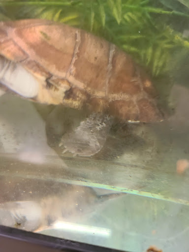 Pet Supply Store «PetSmart», reviews and photos, 7340 W 191st St, Tinley Park, IL 60487, USA