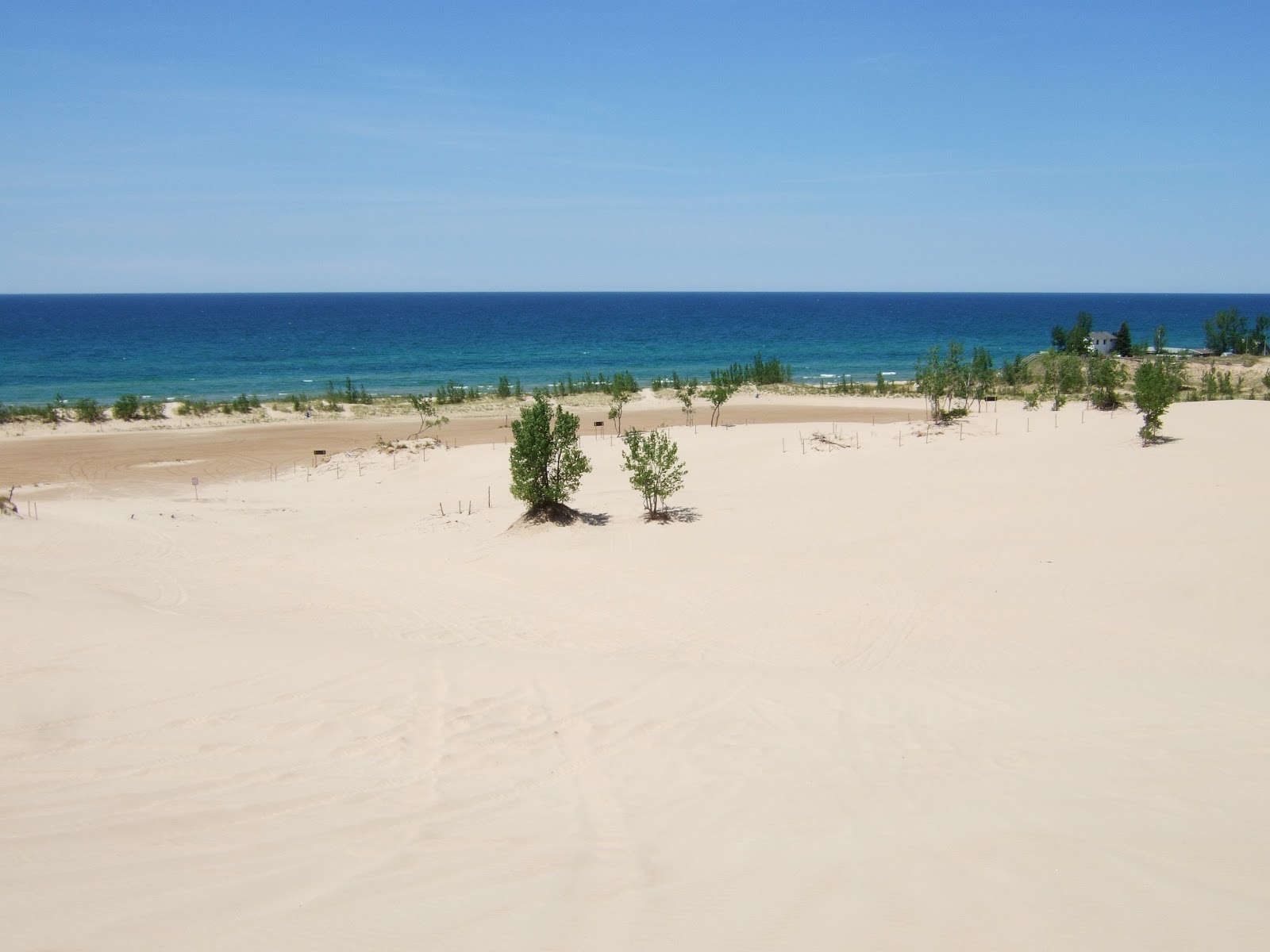 Silver Lake Dunes Beach的照片 具有非常干净级别的清洁度