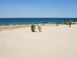 Silver Lake Dunes Beach'in fotoğrafı çok temiz temizlik seviyesi ile