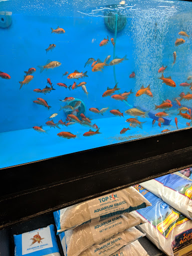 Pet Supply Store «PetSmart», reviews and photos, 225 NW Commons Loop, Lake City, FL 32055, USA