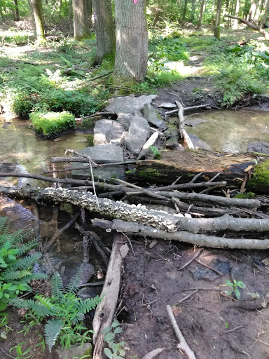 Nature Preserve «Strawberry Hill Nature Preserve», reviews and photos, 1537 Mt Hope Rd, Fairfield, PA 17320, USA