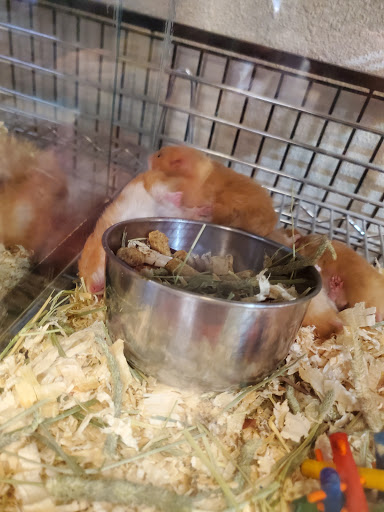 Pet Store «Alley Cat Pet Center», reviews and photos, 8700 NE Vancouver Mall Dr, Vancouver, WA 98662, USA