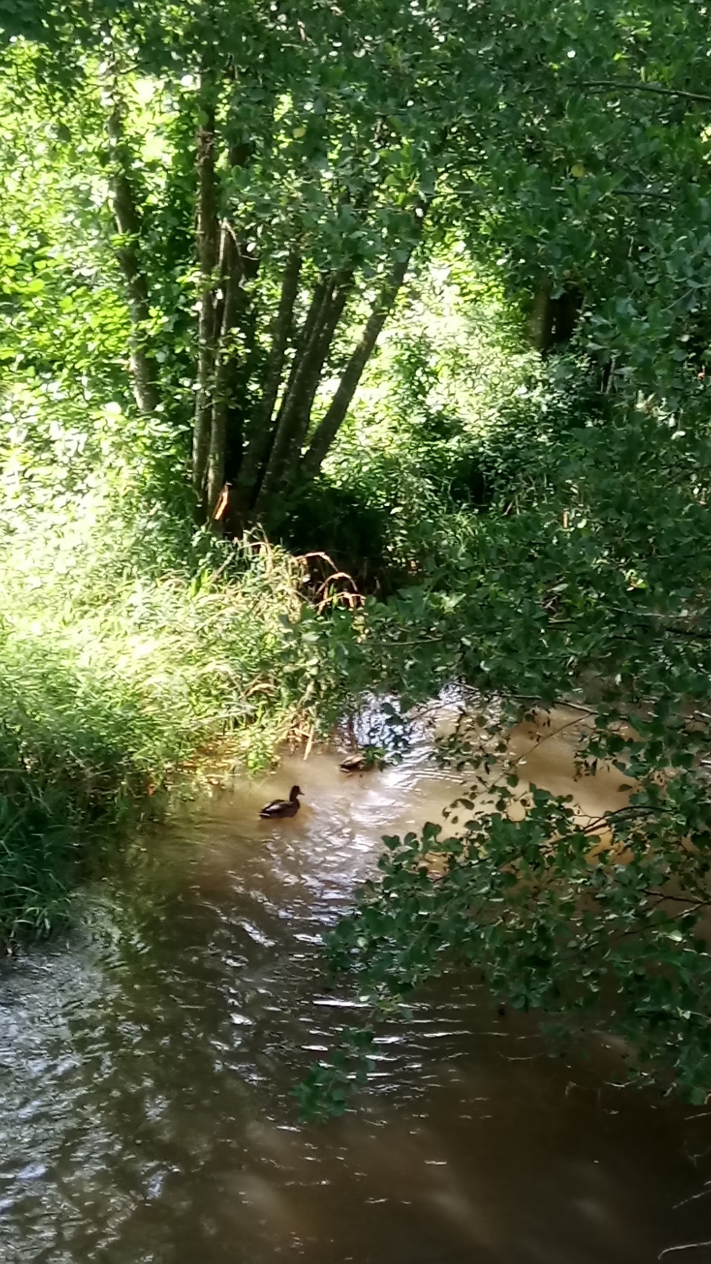 Photo n° 6 de l'avis de MARC30.a fait le 18/06/2017 à 10:43