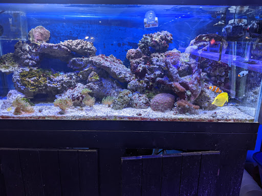 Pet Store «Animart», reviews and photos, 4303 E Towne Way, Madison, WI 53704, USA