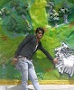 user