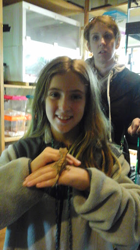 Reptile Store «Pets & Things», reviews and photos, 44825 Van Dyke, Utica, MI 48317, USA