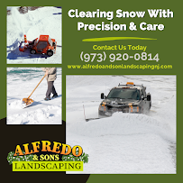 Alfredo And Son Landscaping - Photo 9 - Car repair in , Paterson