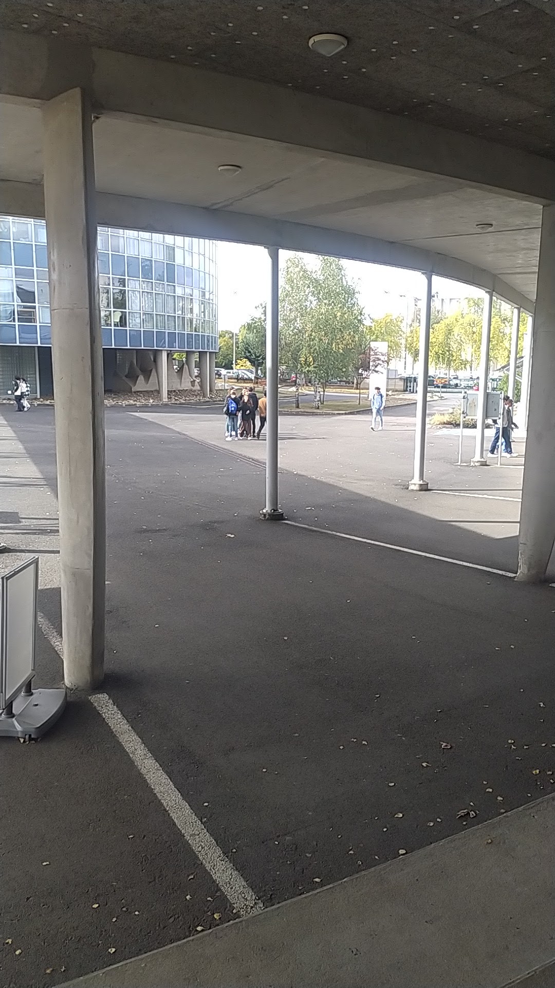 Photo n° 1 de l'avis de Mattys. fait le 29/09/2022 à 10:49