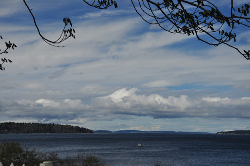 Canoe & Kayak Store «Olympic Outdoor Center», reviews and photos, 32379 N Rainier Ave, Port Gamble, WA 98364, USA