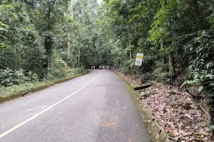 Portaria do Parque Nacional da Tijuca image