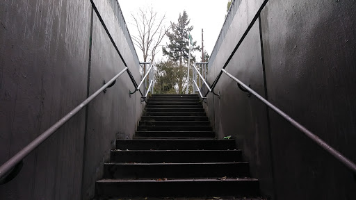 Pet Supply Store «Pet Pros», reviews and photos, 10304 Lake City Way NE, Seattle, WA 98125, USA