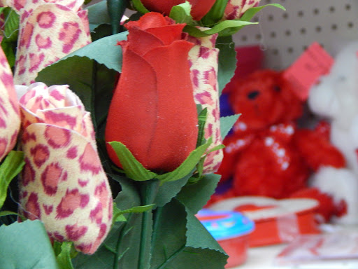 Thrift Store «Dav Thrift Store», reviews and photos, 1749 S Campbell Ave, Springfield, MO 65807, USA