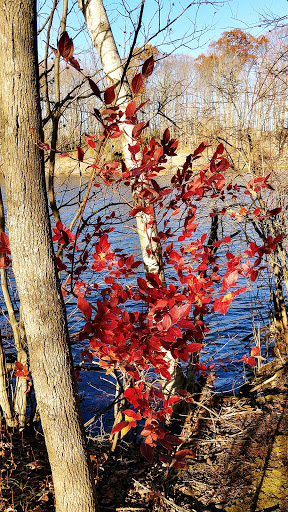 Nature Preserve «Franklin Lakes Nature Preserve», reviews and photos, 1 Nature Preserve Way, Franklin Lakes, NJ 07417, USA