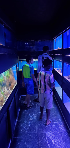 Aquarium «Crystal Reef Aquariums», reviews and photos, 311 Pass Rd, Gulfport, MS 39507, USA