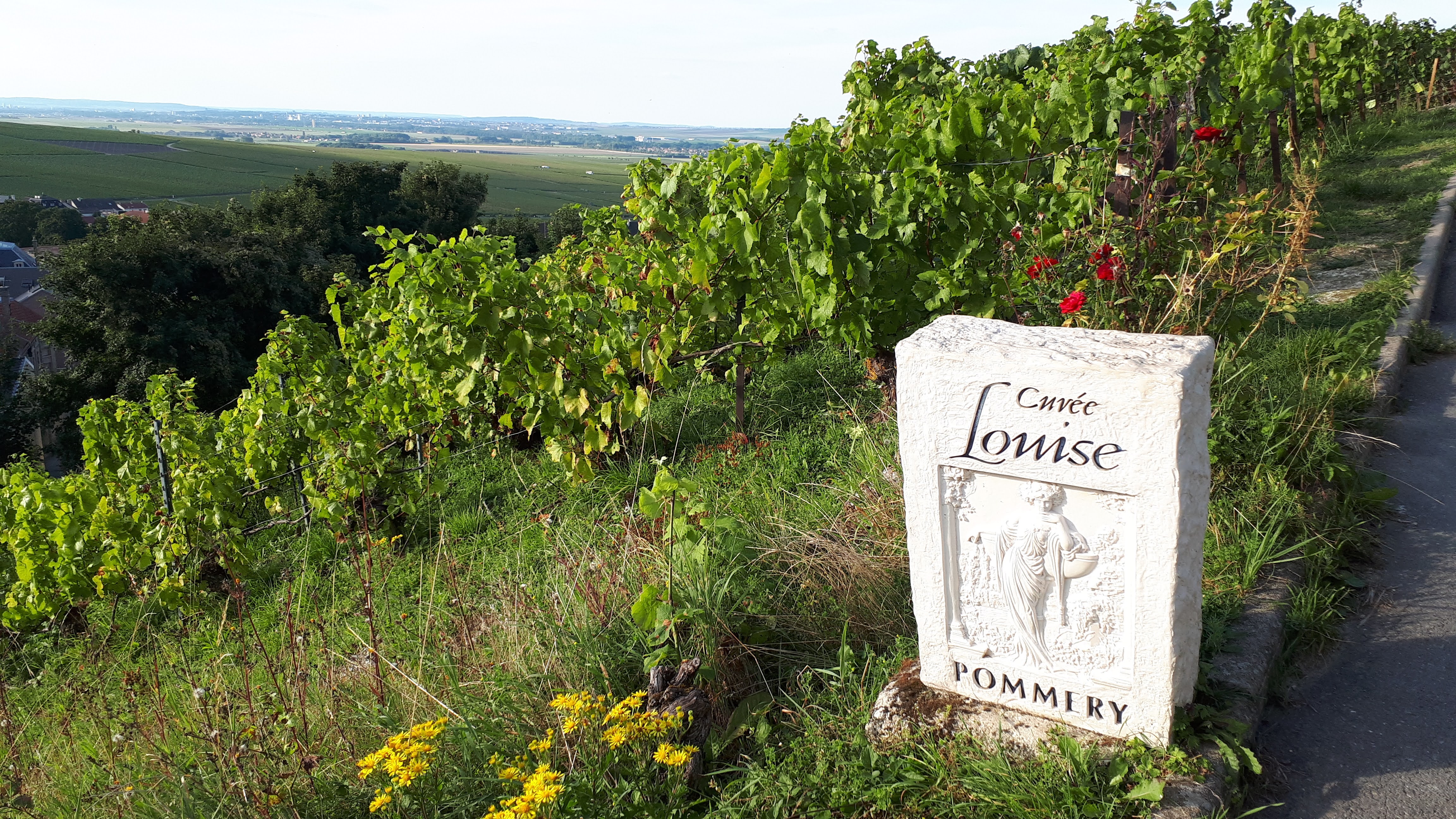 Photo n° 16 de l'avis de Françoise.o fait le 21/09/2021 à 16:22