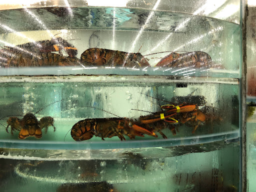 Asian Grocery Store «99 Ranch Market», reviews and photos, 35219 Newark Blvd, Newark, CA 94560, USA