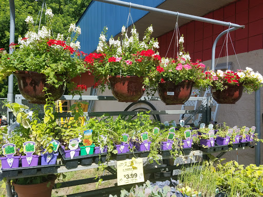 Hardware Store «Ham Lake Hardware Hank», reviews and photos, 17426 MN-65, Ham Lake, MN 55304, USA