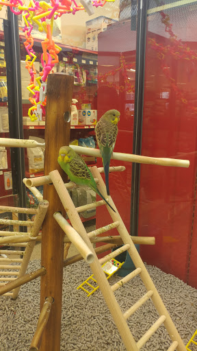 Pet Supply Store «Petco Animal Supplies», reviews and photos, 1401 E Spring Valley Rd, Richardson, TX 75081, USA