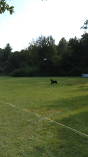 Pet Groomer «Canine Sports Center», reviews and photos, 416 Old Middle St, Goshen, CT 06756, USA