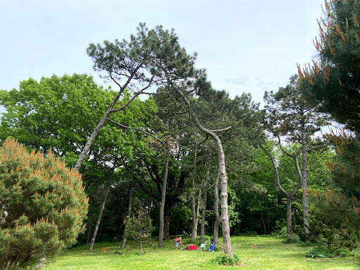 Park «Claremont Park», reviews and photos, Clay Ave & E. 170 St, Bronx, NY 10457, USA