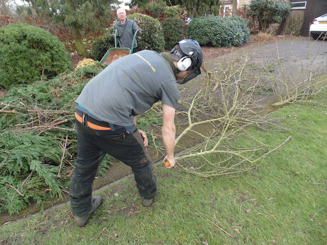 Comments and reviews of Nene Valley Tree Services
