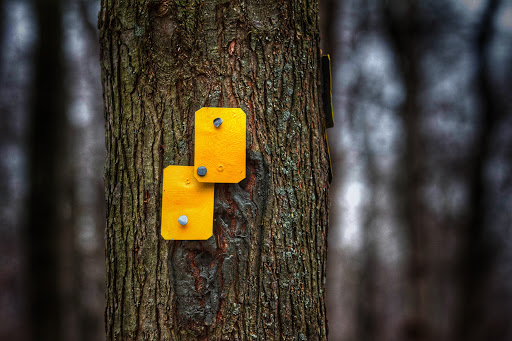 Park «Constitution Park», reviews and photos, Fletcher Ave & Lewis St, Fort Lee, NJ 07024, USA