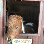 Photo n°7 de l'avis de Anthony.a fait le 28/03/2019 à 11:52 sur le  Fattoria degli Usignoli à San Donato Fronzano