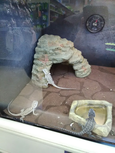 Pet Supply Store «PetSmart», reviews and photos, 10697 E US Hwy 36, Avon, IN 46123, USA