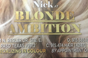 Nick at Blonde Ambition Hair salon image