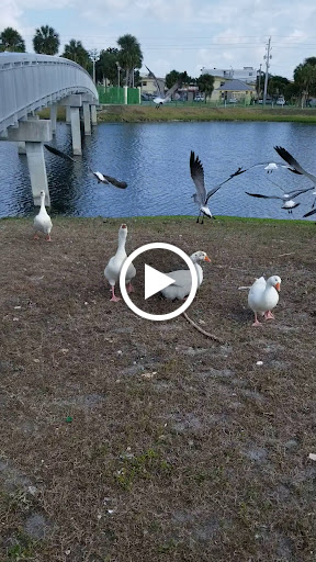 Park «McDonald Park», reviews and photos, 7505 W 12th Ave, Hialeah, FL 33014, USA