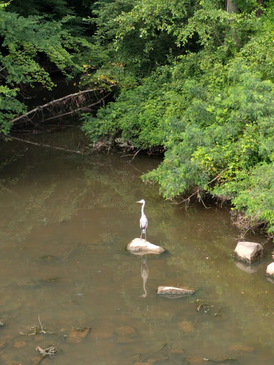Golf Club «Duke University Golf Club», reviews and photos, 3001 Cameron Blvd, Durham, NC 27705, USA