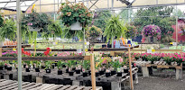 Meadows Farms Nurseries and Landscape - Photo 4 - Car repair in Fredericksburg, VA, Fredericksburg