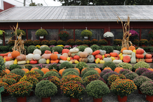 Garden Center «Nalls Produce», reviews and photos, 7310 Beulah St, Alexandria, VA 22315, USA