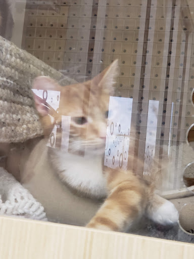 Pet Supply Store «Petco Animal Supplies», reviews and photos, 3870 N 124th St, Wauwatosa, WI 53222, USA