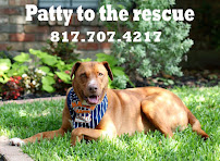 Patty to the Rescue Pet Sitting - Photo 1 - Car repair in , Fort Worth