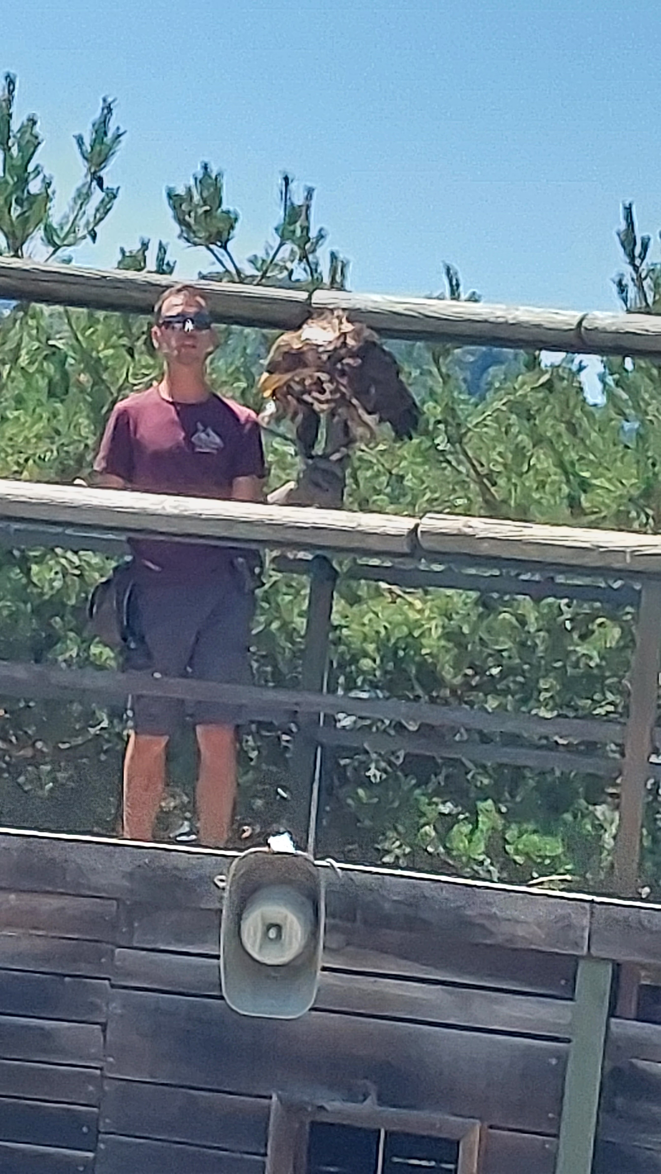 Photo n° 5 de l'avis de Véronique.e fait le 12/08/2022 à 16:35