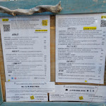 Photo n°5 de l'avis de Matteo.e fait le 23/08/2023 à 20:37 sur le  Casa dei Romagnoli Osteria San Mauro Mare à San Mauro Mare