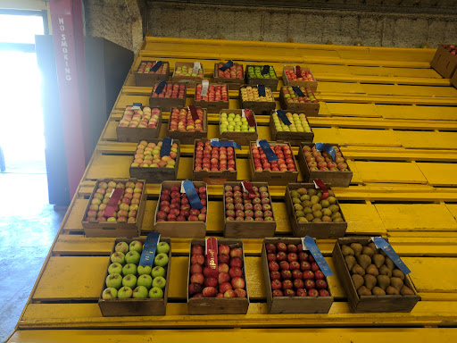 Association or Organization «Mendocino County Fair and Apple Show», reviews and photos
