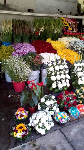 Florería La Hortensia florería en  en la zona 50090 Toluca de Lerdo, Méx.