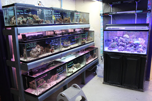 Pet Store «Animart Pets», reviews and photos, 2813 Veterans Memorial Hwy SW, Austell, GA 30168, USA