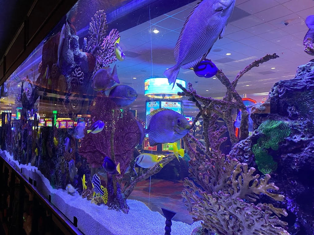 Black&Blue Steakhouse 92082