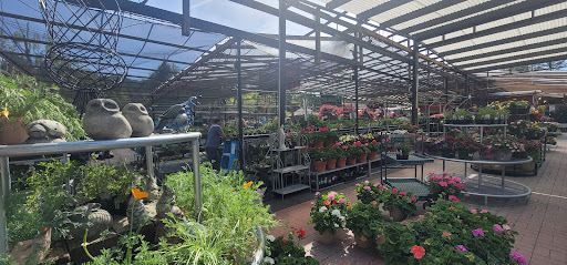 Plant Nursery «Orchard Nursery and Florist», reviews and photos, 4010 Mt Diablo Blvd, Lafayette, CA 94549, USA
