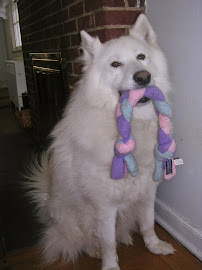 Faithful Companion Dog Training, LLC - Photo 8 - Car repair in Lancaster, PA, Lancaster