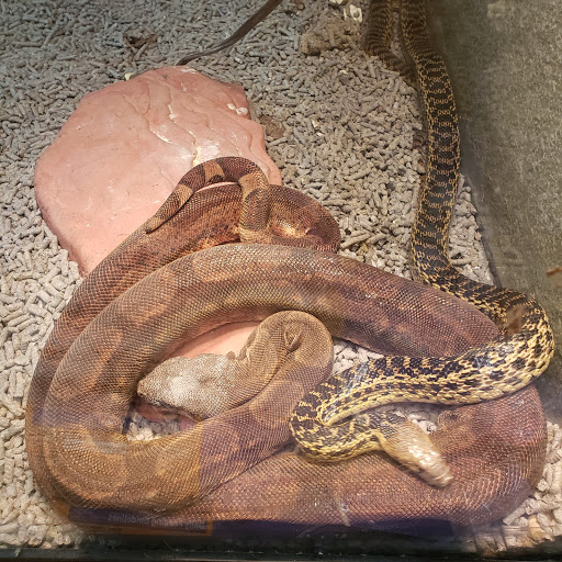 Pet Store «Planet Pet Shop», reviews and photos, 6624 Eastern Ave, Bell Gardens, CA 90201, USA