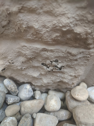 Waterproofing Company «Ayers Basement Systems», reviews and photos