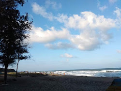 Foto von Koozhaiyar Beach mit lange, gerade küste