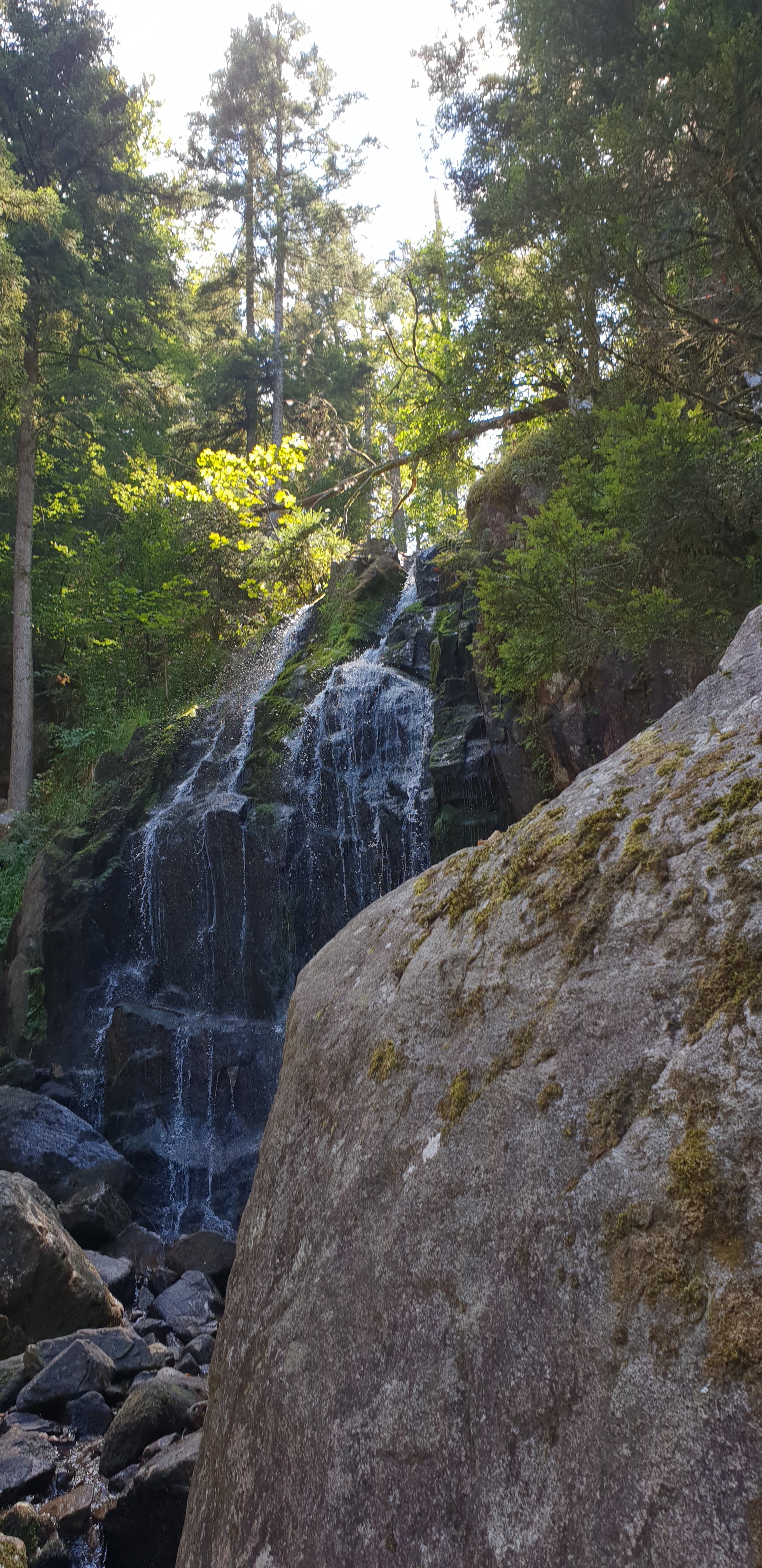 Photo n° 4 de l'avis de Rodolphe.r fait le 30/08/2018 à 07:26