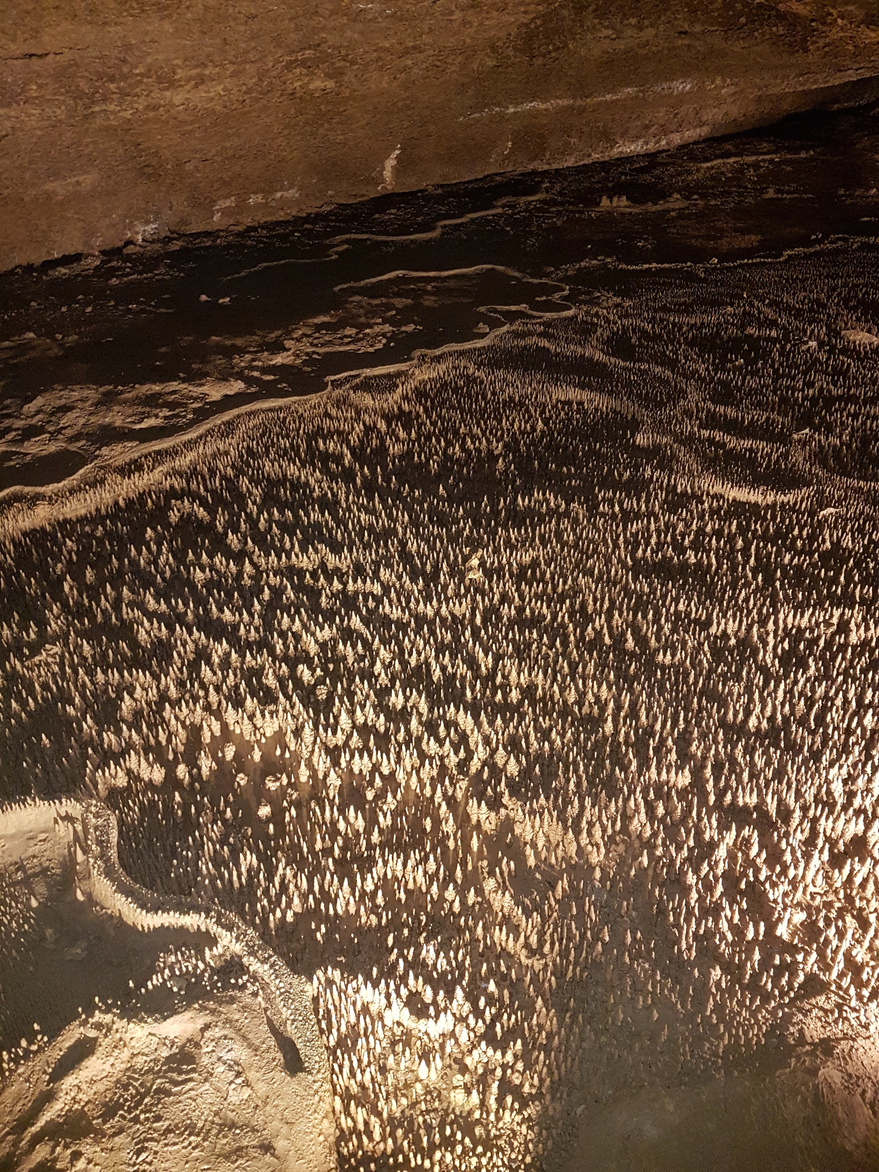 Photo n° 2 de l'avis de Olivier.r fait le 27/06/2018 à 22:02